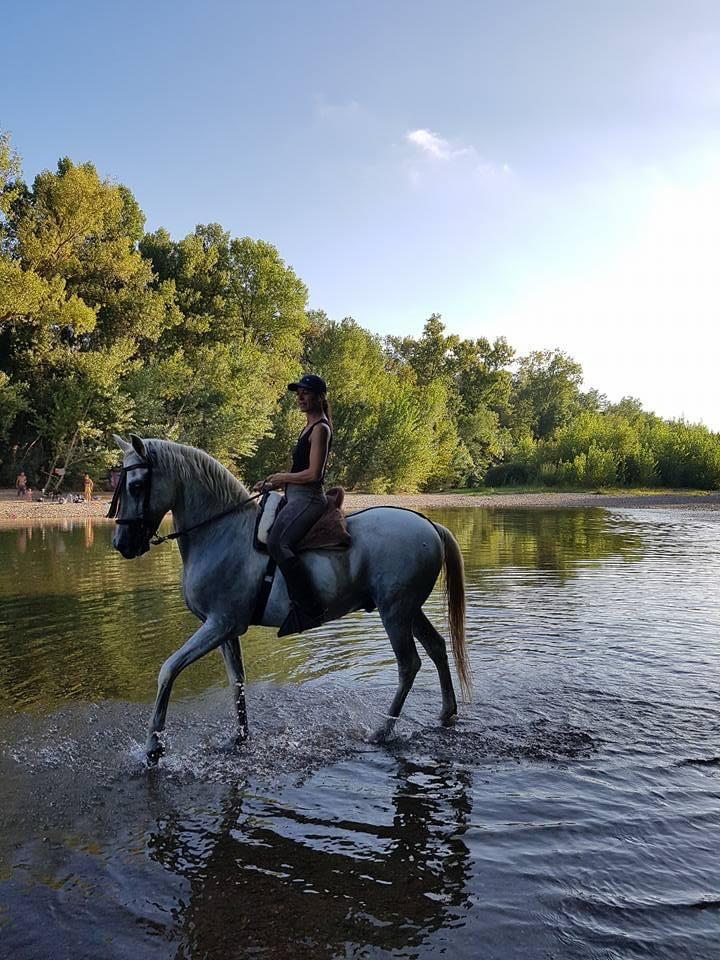 Balade à cheval dans la campagne de l'Hérault près de Paulhan